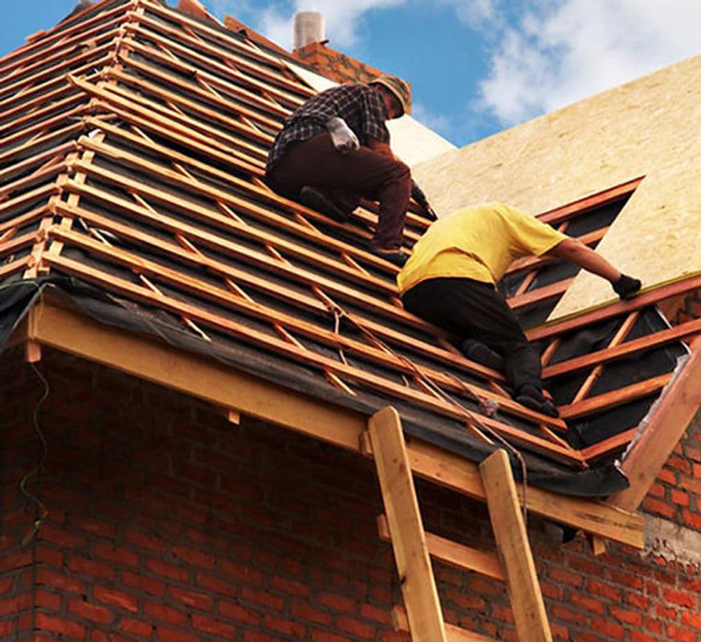 Discover Our Journey